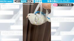 有事の際に便利な“専用バック”、ぴったりおさまる鳥がかわいすぎる！お利口な姿に悶絶