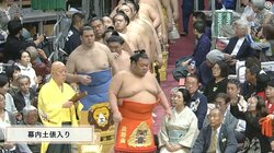 妙に心が和む人気力士のキュートな化粧まわし（複数カット）