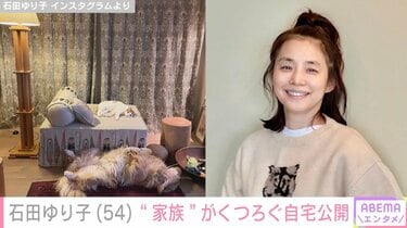 猫用　ペットハウス　かご　石田ゆりこさん 猫用 ペットハウス かご 石田ゆりこさん （石田ゆり子、自宅