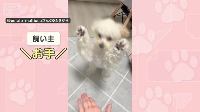 半年後も…