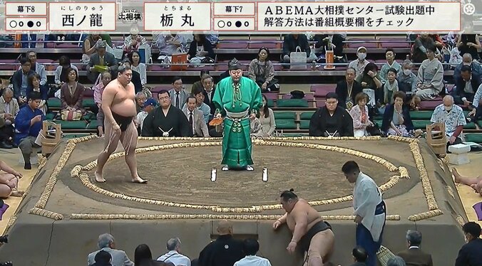 土俵下に落下した栃丸