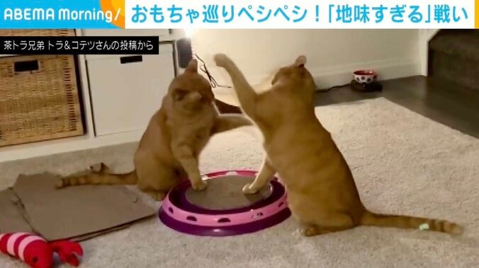 トラくんとコテツくん