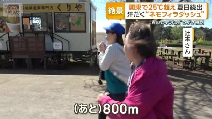 登山仲間と2人で来た辻本さん