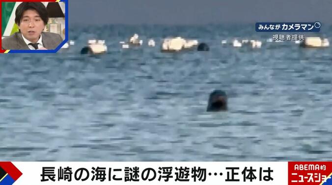 長崎の海に謎の浮遊物（視聴者提供）