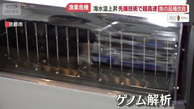 「ゲノム解析」実証実験