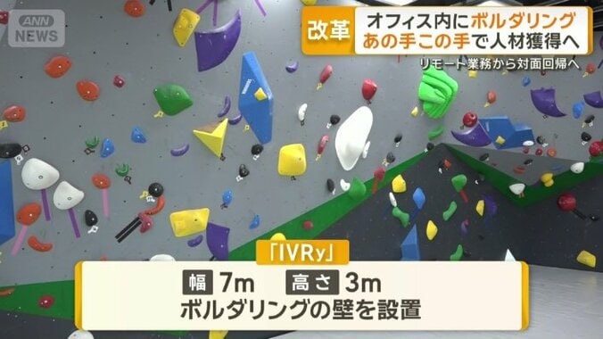 幅7m高さ3mのボルダリングの壁