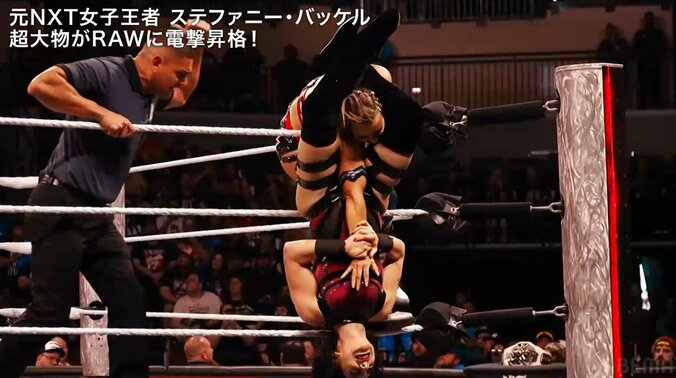 ステファニー・バッケル