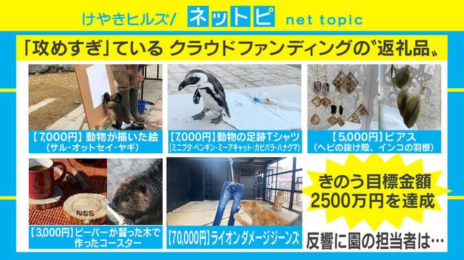 日本一危険な動物園の「攻めすぎた返礼品」とは？ 担当者「ライオンがやりすぎて苦労」 1枚目