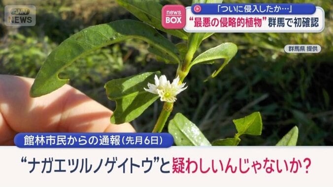 館林市民からの通報（先月6日）