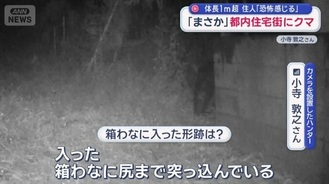 「箱わなに尻まで突っ込んでいる」