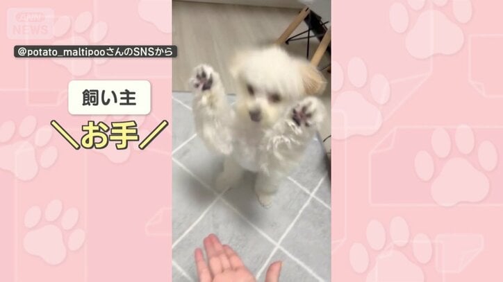 半年後も…