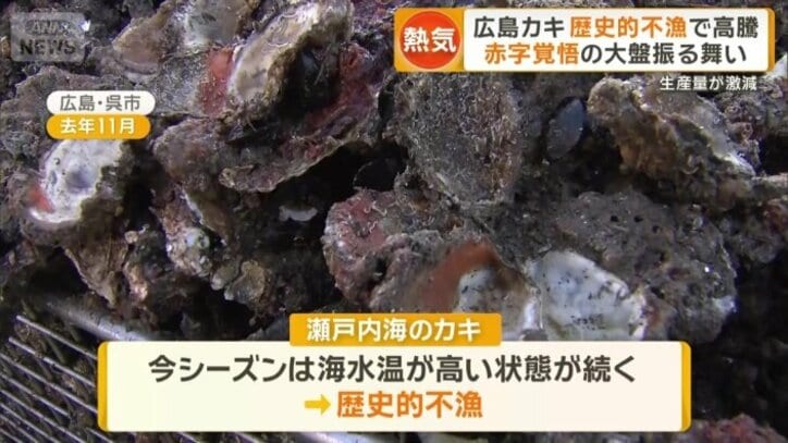 瀬戸内海のカキが歴史的不漁