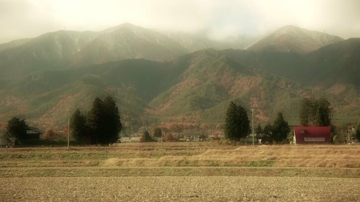 「前の猫は一体…？」長野・安曇野の猫が大集合　美しい風景＆猫にまったり癒されるにゃ