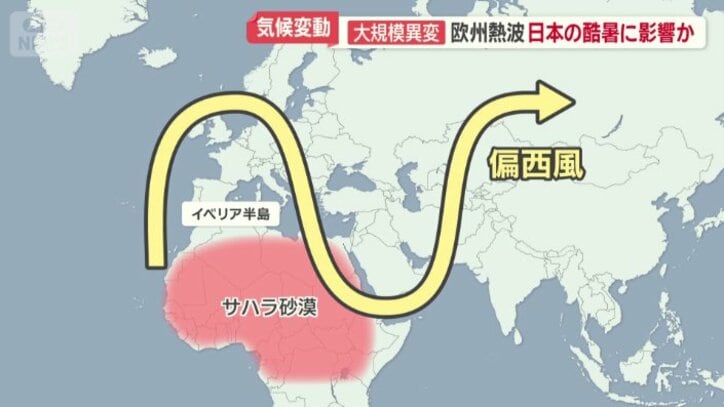 地理的な要因も