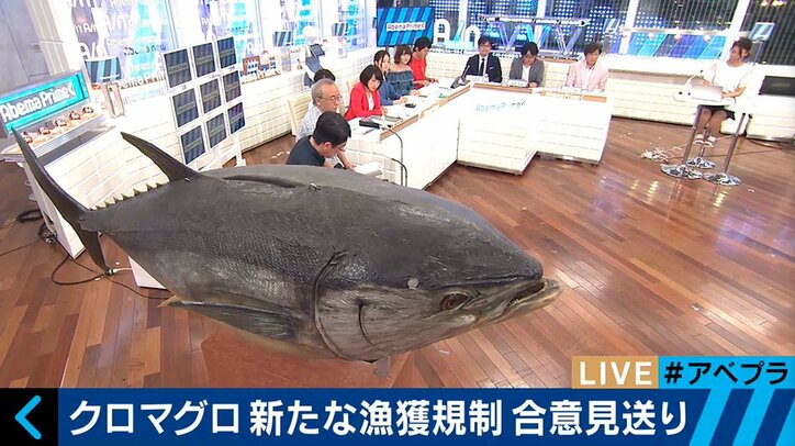 マグロが絶滅の危機 その影に存在する中国の「違法」漁船