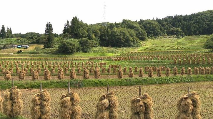「もう限界」…失われる“日本の原風景”棚田を後世に残すために