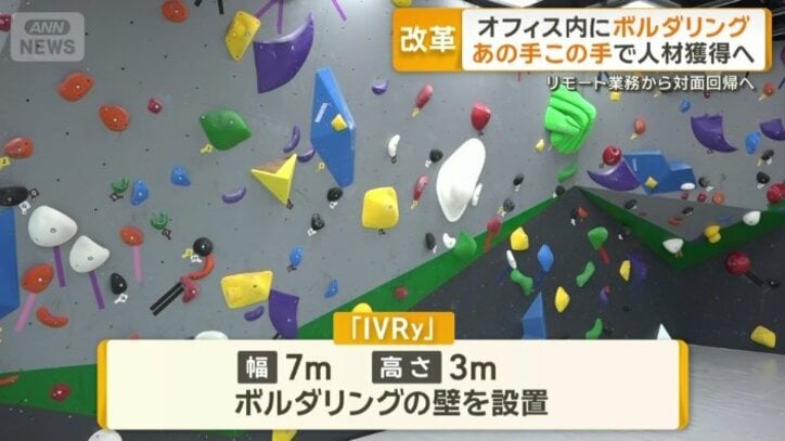 幅7m高さ3mのボルダリングの壁