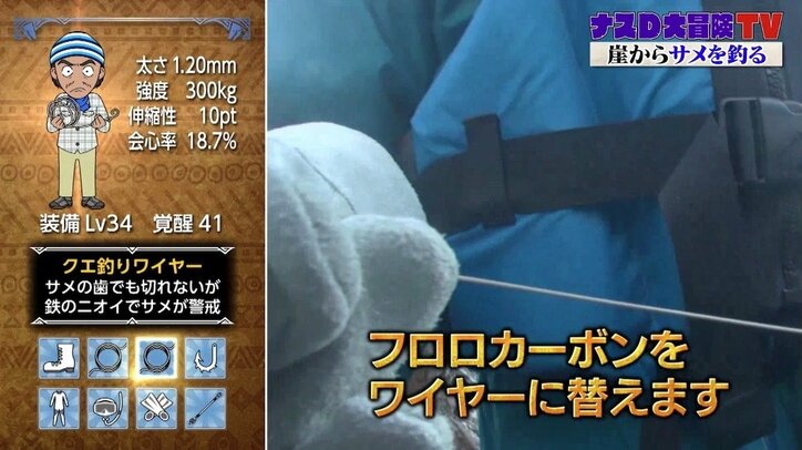 ナスD、崖からサメを狙い…水中カメラで撮った貴重映像！ 大きさは約3メートル、体重300kg以上か