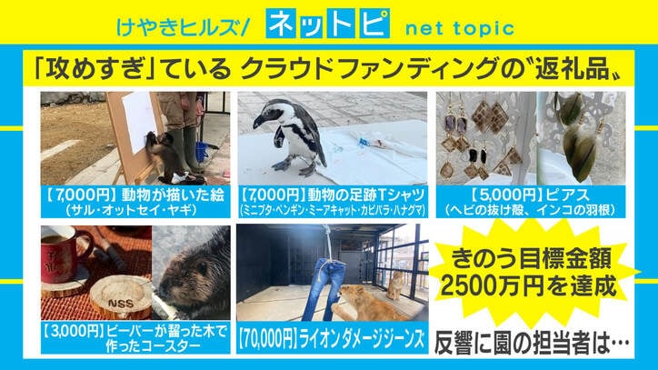 日本一危険な動物園の「攻めすぎた返礼品」とは？ 担当者「ライオンがやりすぎて苦労」