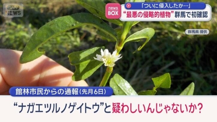 館林市民からの通報（先月6日）