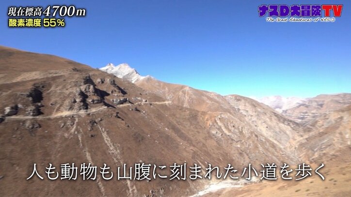 ナスD「今までの中で1番めちゃくちゃ…」峠越えで起きた“ハプニング”に胸中赤裸々