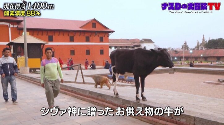 ナスD“世界一甘いお菓子”を食レポ「ものすごく柔らかい…」ヒマラヤ大冒険直前の穏やかな時間に笑顔