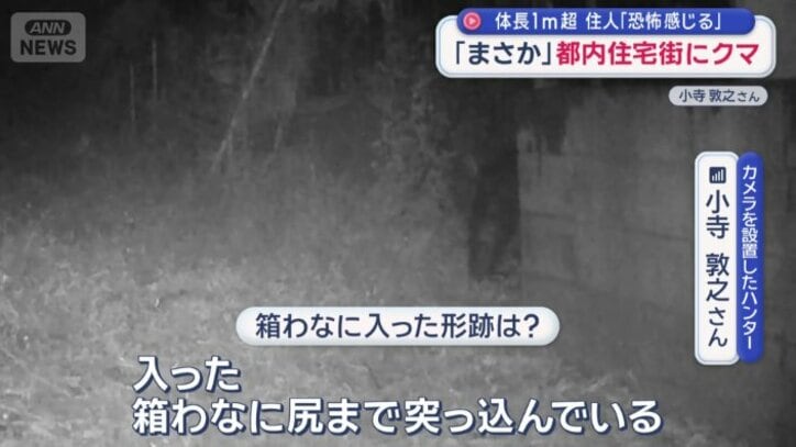 「箱わなに尻まで突っ込んでいる」