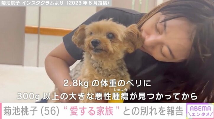 【写真・画像】菊池桃子(56) “愛する家族”が天国へ旅立ったことを報告 2月にはがん再発を公表　1枚目