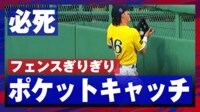 【映像】デュランはフェンスにぶつかりながらもナイスキャッチ