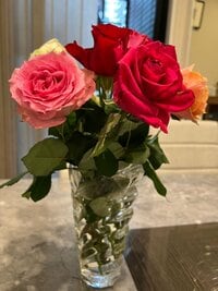 堀ちえみ『5月のリフォームの準備』