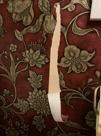 假屋崎省吾『心無い人が‼️』