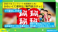 【映像】SNSで話題の“寿司専用袋ガチャ”(全4種類)