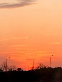 北斗晶『レンジでオムレツ』