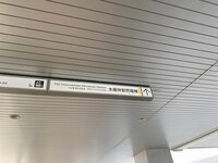 キンタロー。旦那『初の豊洲市場と妻。』