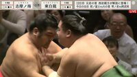 【映像】力士が顔面に手を押し当てる“禁断”技