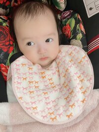 アレクサンダー『エルメスのスタイ❤️よだれ掛け』