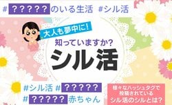 “買ってもらえなかった層”がカムバック!? 一緒におでかけしたり服を作ったり…“シル活”が話題に