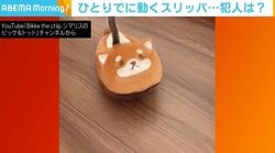 ホラー!? ひとりでに動く犬のスリッパ 正体は“かわいい犯人”による習性