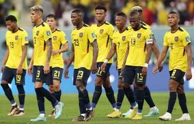 W杯敗退のエクアドル、今の心境を“VAR”で表した1枚が反響！センスある投稿に他国ファンから称賛「VAR使ってるのおもろい」