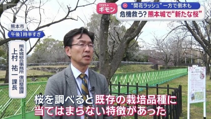 熊本城総合事務所　復旧整備課　上村祐一課長