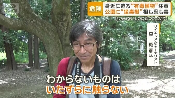 「分からないものに近づかないで」