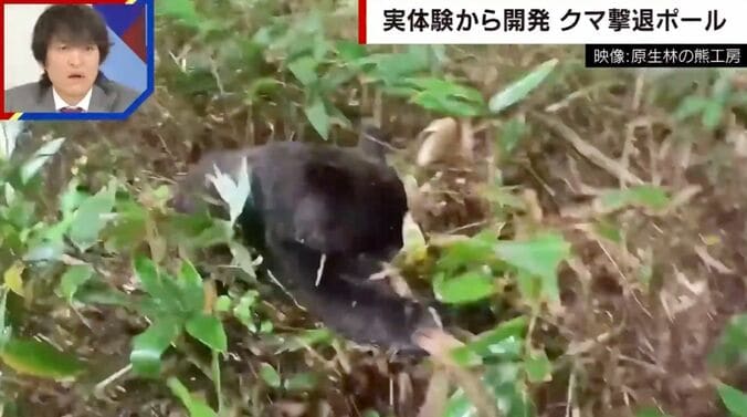 提供：原生林の熊工房