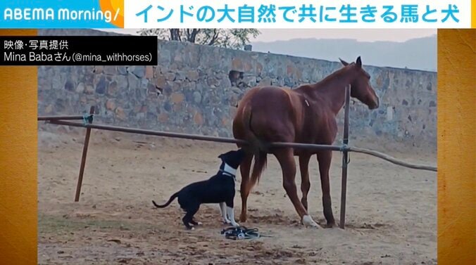 インド北部、グルグラム