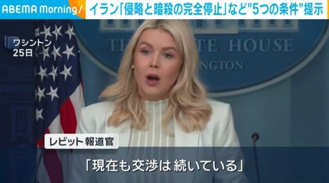 レビット報道官