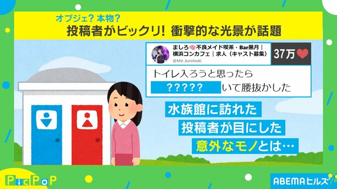 トイレで遭遇した生き物とは