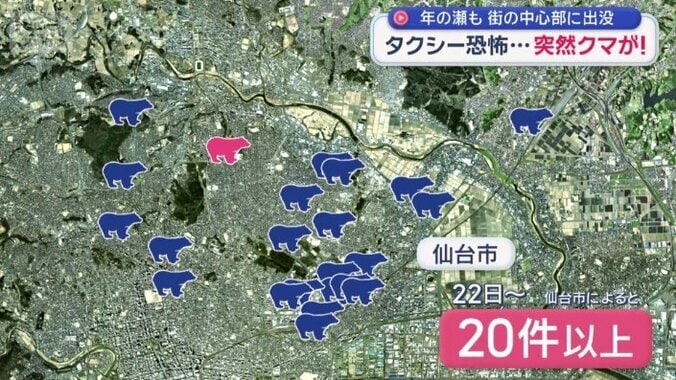 クマの目撃情報が20件以上