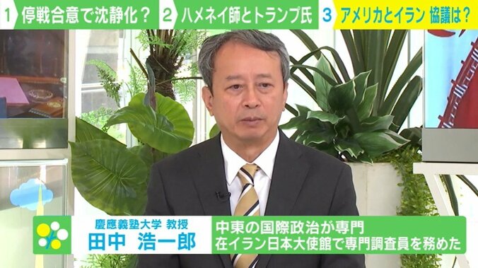 慶應義塾大学・田中浩一郎教授