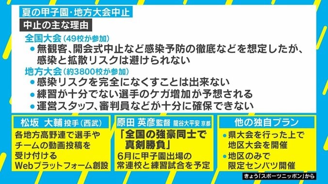 春夏連続の甲子園中止…球児救済に「独自大会」の動きも 松坂投手はWebサイト創設を提案 3枚目