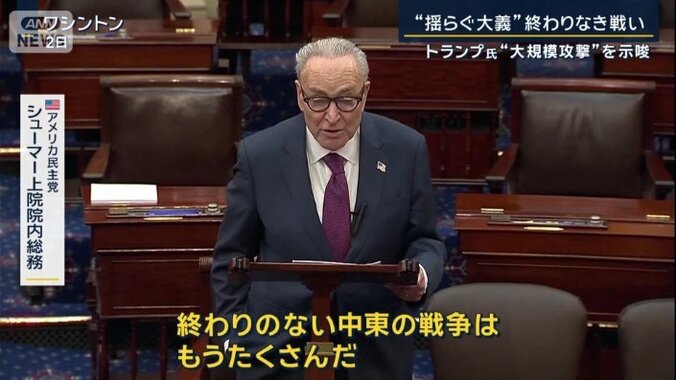 民主党　シューマー上院院内総務