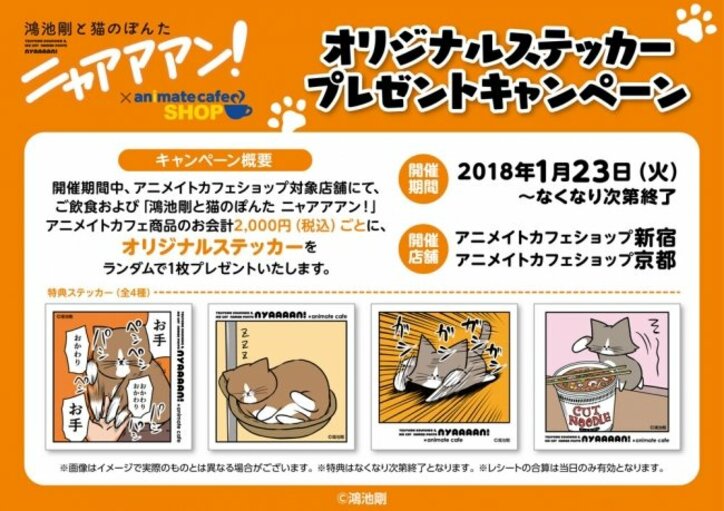 『鴻池剛と猫のぽんた ニャアアアン！』コラボカフェが登場　ぽんた＆アルフの可愛いメニューも公開